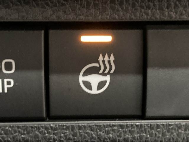 トヨタ RAV4の画像10