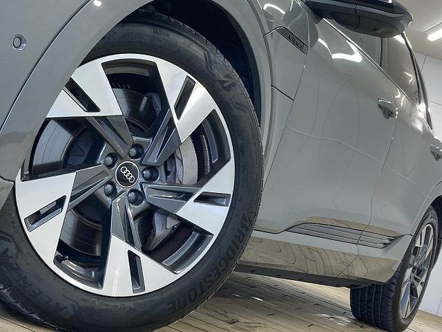 アウディ Q8 e-tronの画像19