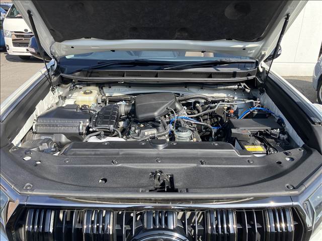 トヨタ&nbsp;ランドクルーザープラドの画像20