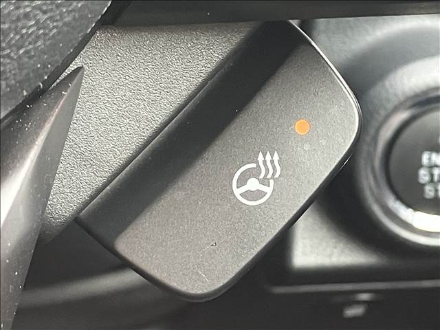 スバル&nbsp;フォレスターの画像9