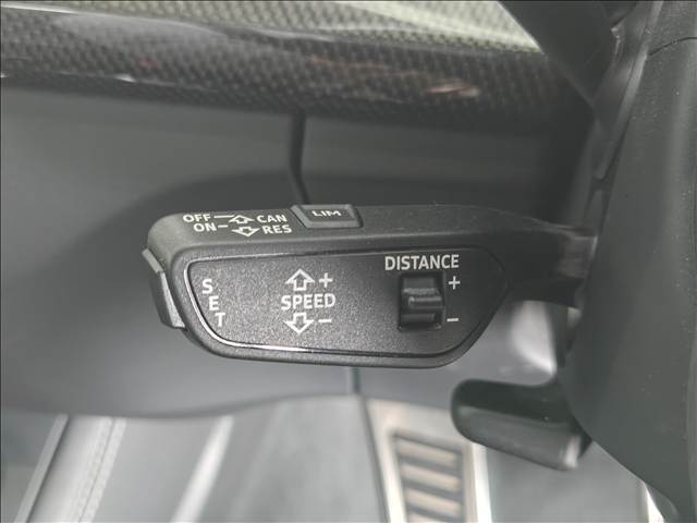 アウディ SQ5の画像10