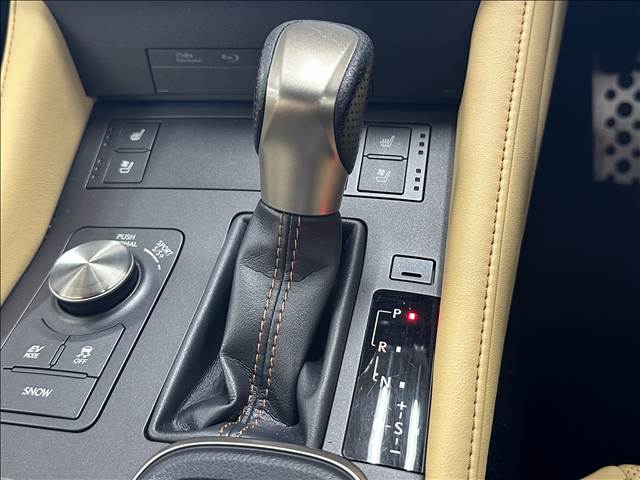 レクサス RCの画像10