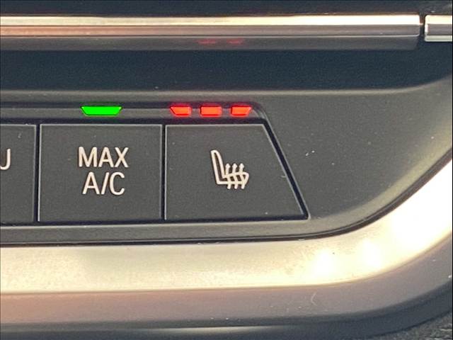 BMW 4Series Gran Coupeの画像9