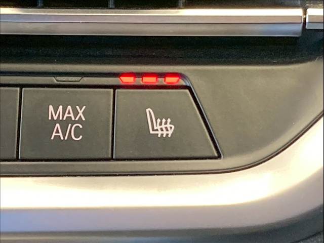 BMW&nbsp;3Series Sedanの画像10