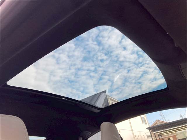 F-TYPER-DYNAMIC P300 内装他