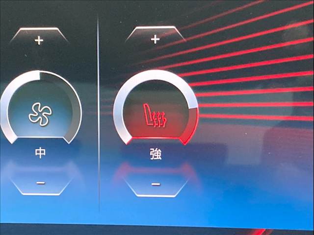 BMW&nbsp;3Series Sedanの画像10