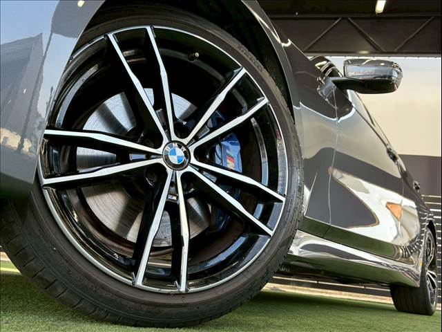 BMW&nbsp;3Series Sedanの画像19