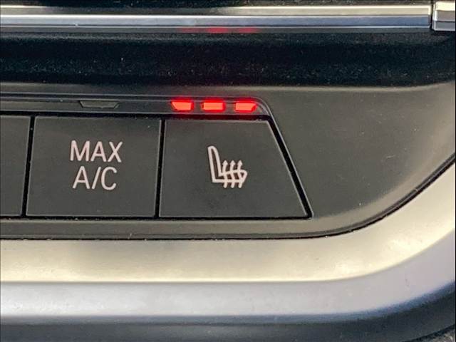 BMW&nbsp;3Series Sedanの画像10