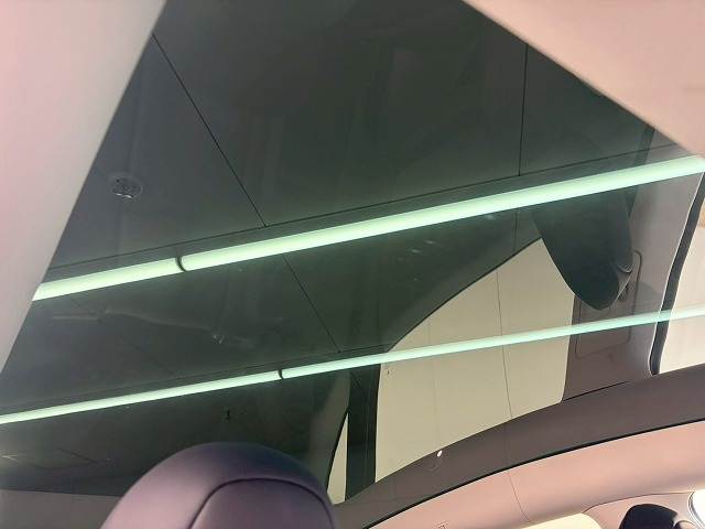 テスラ Model Yの画像10