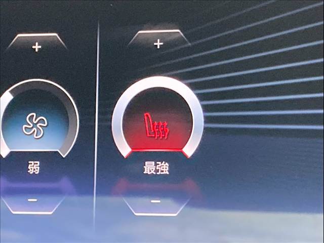BMW&nbsp;3Series Sedanの画像9