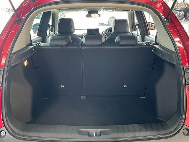 ホンダ WR-Vの画像13