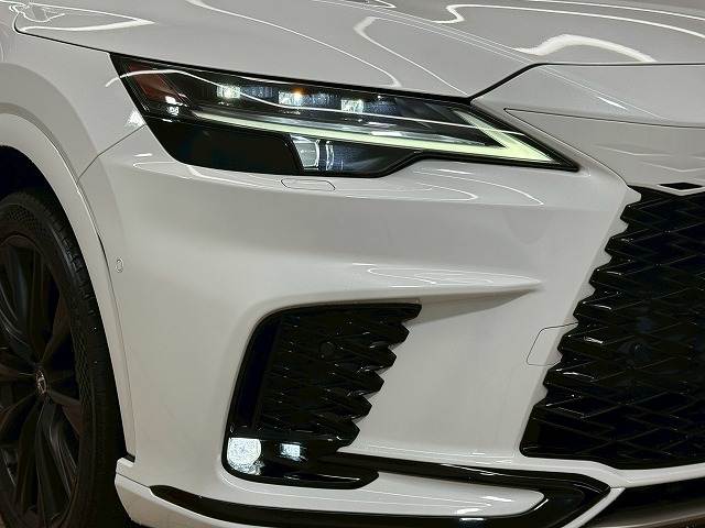 レクサス RXの画像19