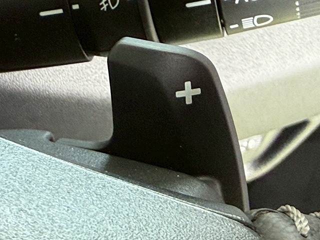 ホンダ WR-Vの画像12