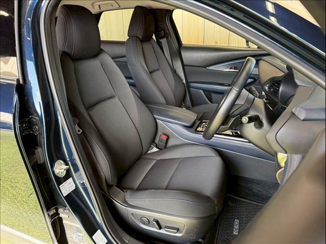 CX-3020S Proactive Touring Selection 内装他