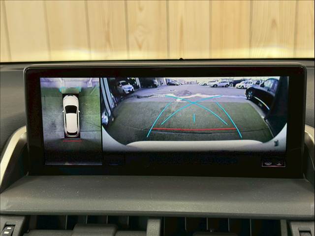 NXNX300 “version L” 内装他