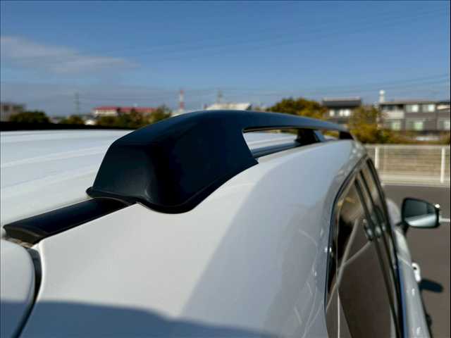 トヨタ ランドクルーザー300系の画像12