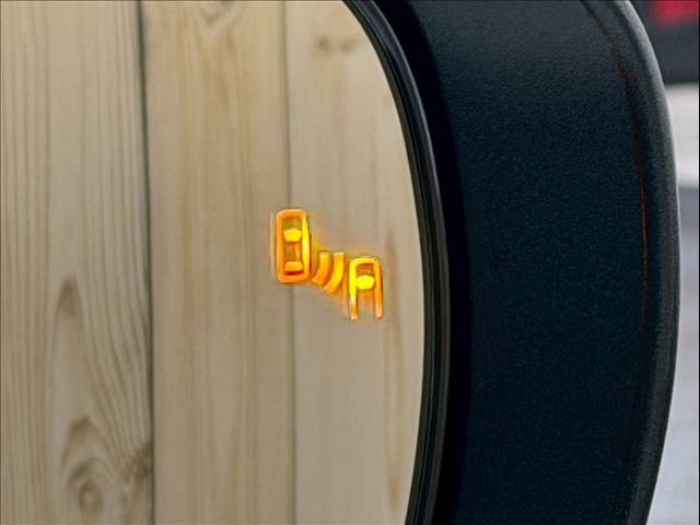 トヨタ&nbsp;ライズの画像8