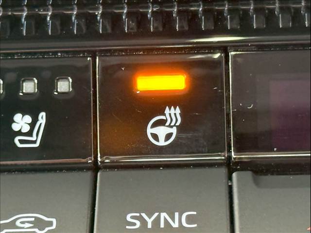 トヨタ&nbsp;ランドクルーザー250の画像10