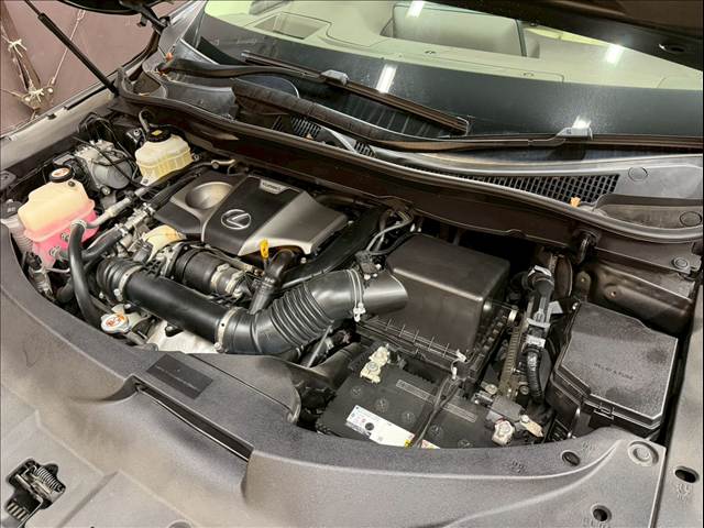 レクサス&nbsp;RXの画像18