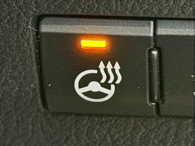 レクサス&nbsp;RXの画像11