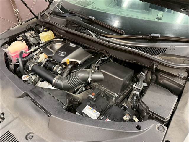 レクサス&nbsp;RXの画像18