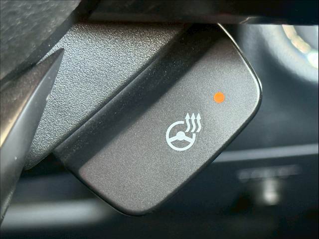 スバル&nbsp;レガシィアウトバックの画像8