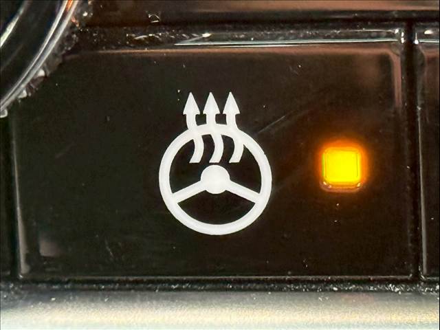 日産&nbsp;エクストレイルの画像11