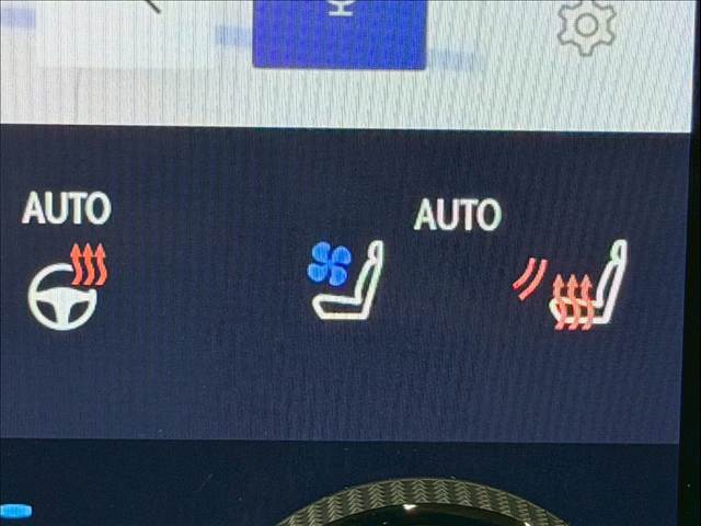 レクサス&nbsp;RXの画像9