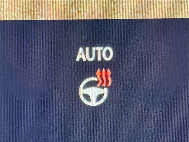 レクサス&nbsp;RXの画像10