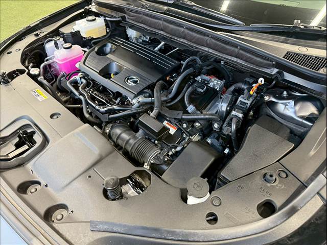 レクサス&nbsp;RXの画像18