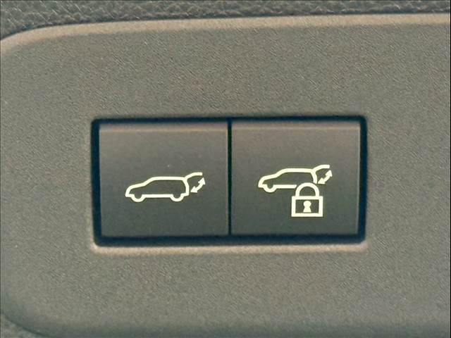 トヨタ&nbsp;ランドクルーザー250の画像10