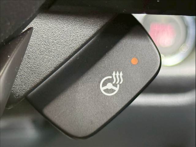 スバル&nbsp;レガシィアウトバックの画像11