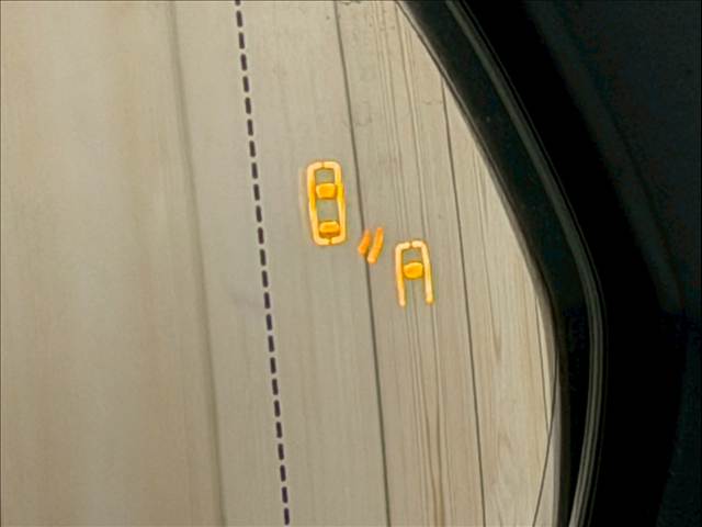 レクサス&nbsp;RXの画像11