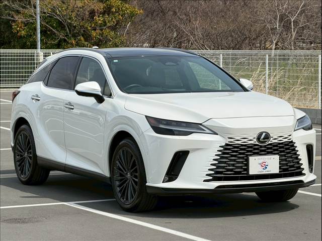 レクサス&nbsp;RXの画像14