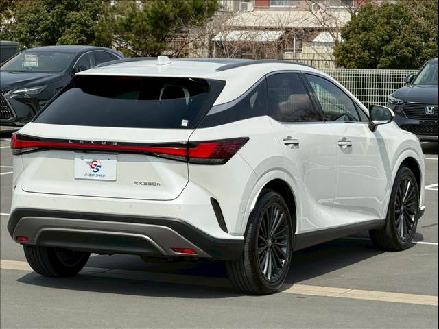 レクサス&nbsp;RXの画像17