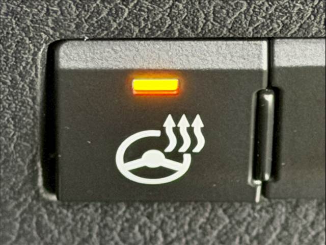 レクサス RXの画像10