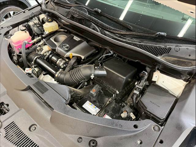 レクサス RXの画像18