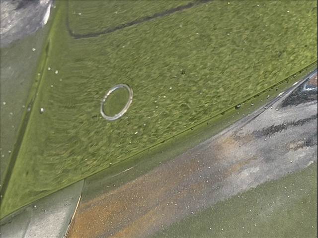 トヨタ C-HRの画像11