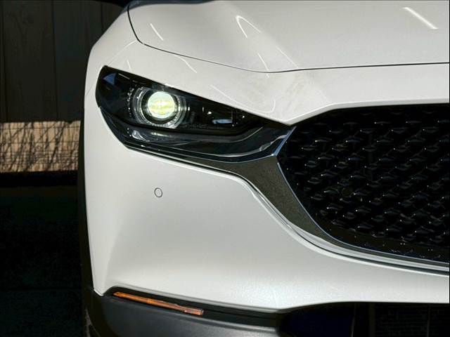 マツダ CX-30の画像20