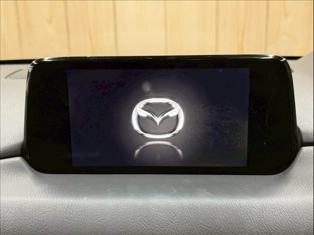 CX-520S PROACTIVE 内装他