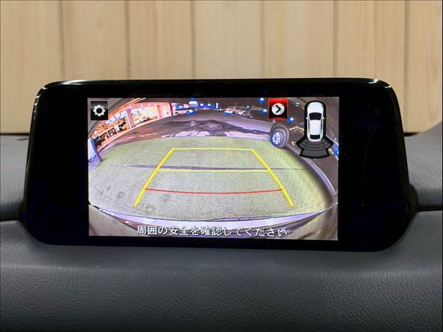 CX-520S PROACTIVE 内装他