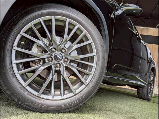 レクサス&nbsp;RXの画像19