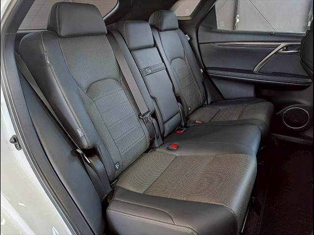 RXRX300 “F SPORT” 内装他