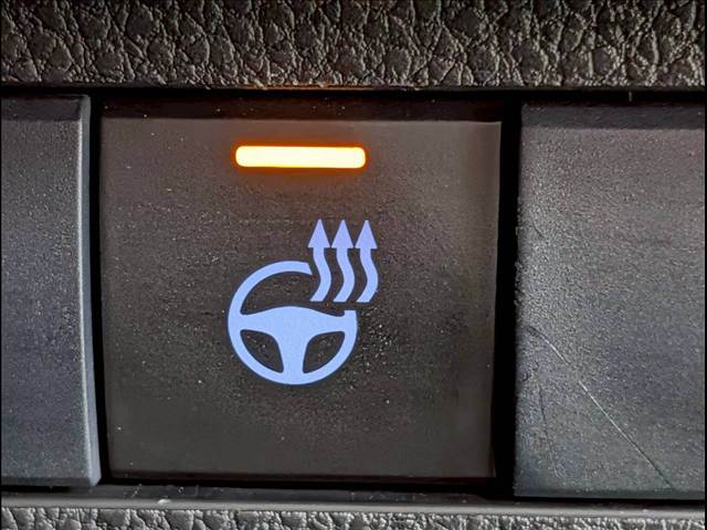 トヨタ RAV4の画像9