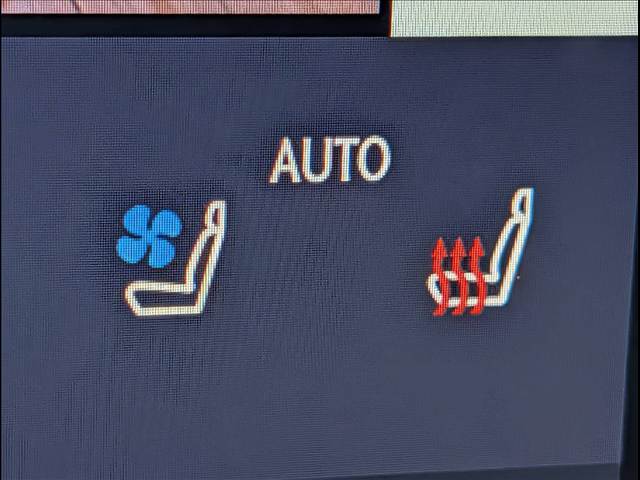 レクサス RXの画像9