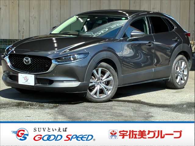 マツダCX-3020S L Package 外観