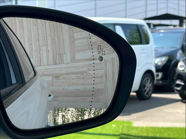 ルノー ARKANAの画像11