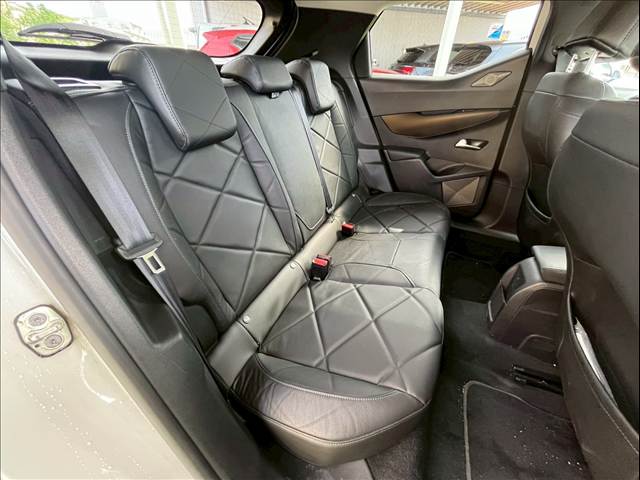 DS3 CROSSBACKGrand Chic 内装他