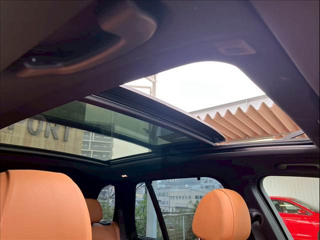 X5xDrive35d M Sport 内装他