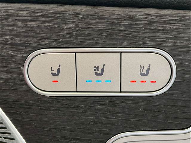 メルセデス・ベンツ GLE-CLASS Coupeの画像9